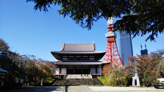 4.徳川家康と本饅頭、増上寺の黒本尊