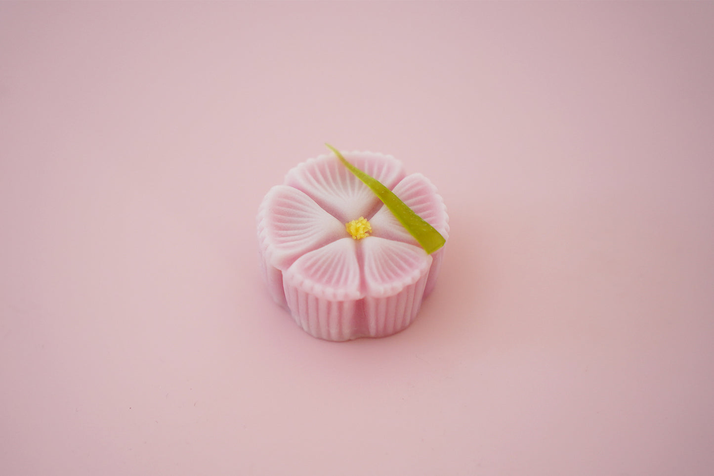 撫子